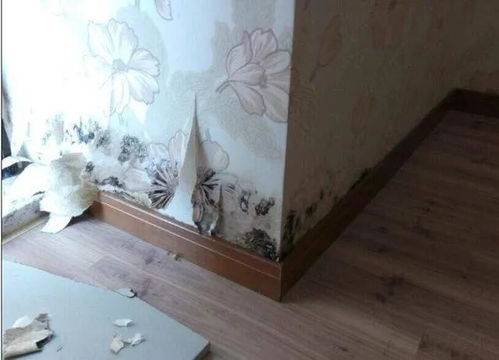 张启东 ktv装修墙面的材料用哪种好