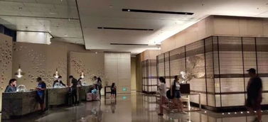 周top5 优秀产品案例集锦