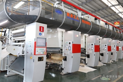 【专访】何明:中林起风 一切刚好